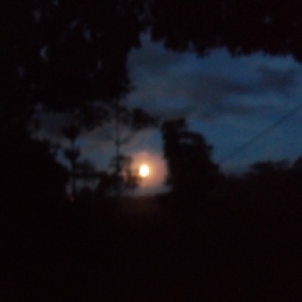 The moon early in the morning